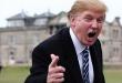 Краткая биография дональда трампа