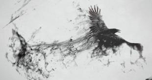 Тату Ворон: смысл и значение птицы в истории мира, фото